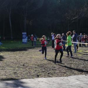 606016532 10235889836685310 4373636394014205884 N