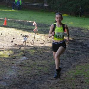 606016538 10235889566838564 2818446829975176058 N