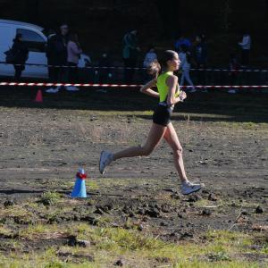 606017402 10235889565638534 7239458756235986251 N