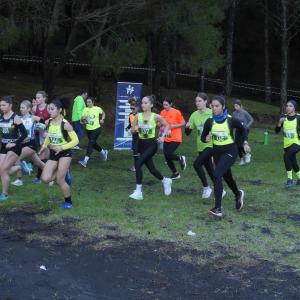 606024307 10235889190109146 2139244914439736966 N