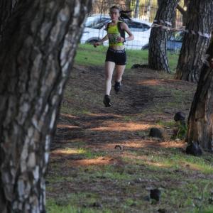 606397757 10235889595319276 1687482111804591075 N