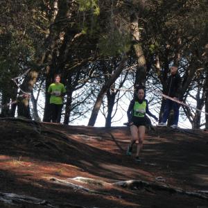 606620833 10235889200309401 4331037060879037847 N