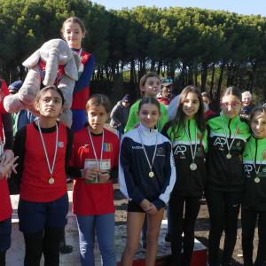 607053934 10235890134172747 6343697030676666694 N