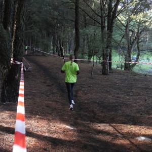 607132487 10235889200629409 1672037175780729087 N