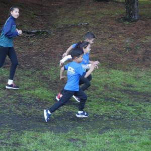 607318927 10235889587479080 8308112818388718417 N