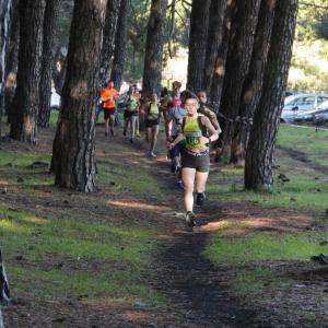 607425640 10235889586319051 5263089428180793704 N