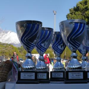 607694006 10235889186989068 7849423841627785683 N