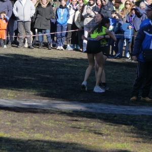 607722523 10235889622519956 3257072903629932637 N