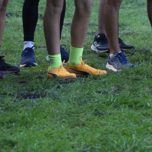 607968716 10235889575278775 9016875325316756371 N