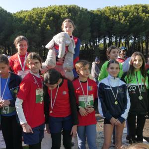 607995986 10235890166573557 7557197007612719960 N1