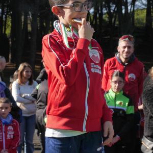 608109630 10235890046370552 7318889829158687348 N