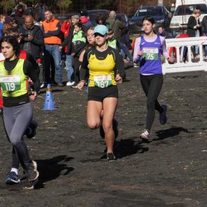 608141441 10235889603959492 1189326478081285594 N