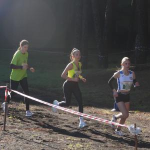 608264349 10235889213549732 2736712601937132521 N