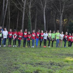 608317176 10235889806644559 5950562989612826816 N