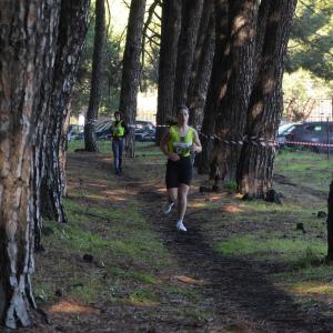 608318259 10235889575678785 1381960630132875539 N