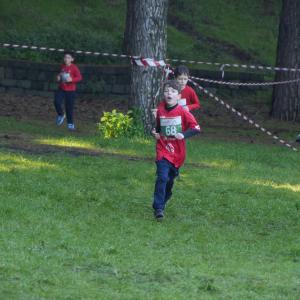 608418050 10235889825245024 5851518462375219975 N5