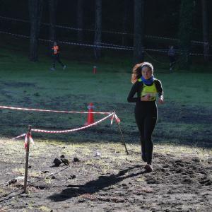 608519211 10235889207189573 2872408852722585844 N