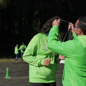 608673606 10235889382433954 7494124005496023602 N