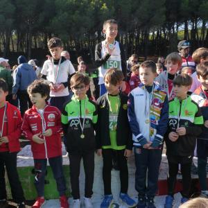 608821449 10235890111772187 5203626083737376584 N