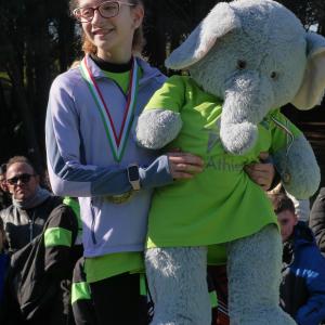 608851833 10235890091811688 7269785488560545548 N