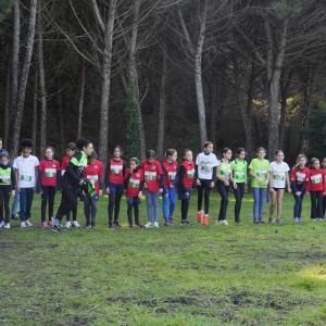 608922175 10235889797044319 4415073122168458653 N