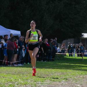 Whatsapp Image 2026 02 10 At 11.54.01