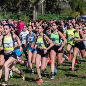 Whatsapp Image 2026 02 10 At 11.54.04