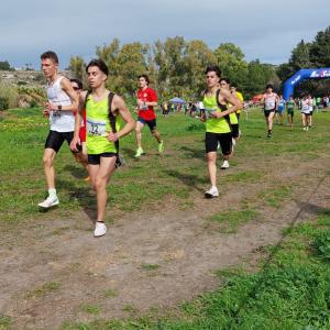 Whatsapp Image 2026 02 10 At 11.55.16