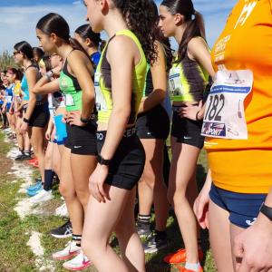 Whatsapp Image 2026 02 10 At 11.55.18 3