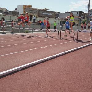 490019163 10232106057933206 2161716891991810066 N