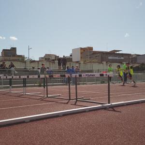 490556977 10232106060533271 1669031271510654244 N