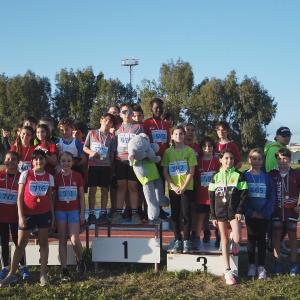 491050291 10232105530520021 4285855790335165286 N