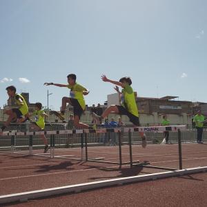 491169588 10232106060293265 8670883285737500536 N