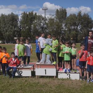 491294692 10232105515159637 5344250935713113042 N