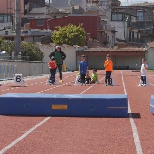 491487647 10232105519439744 7890917900583818736 N