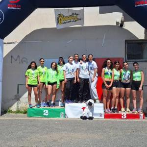 493901083 122130138524647015 8032379288933771821 N